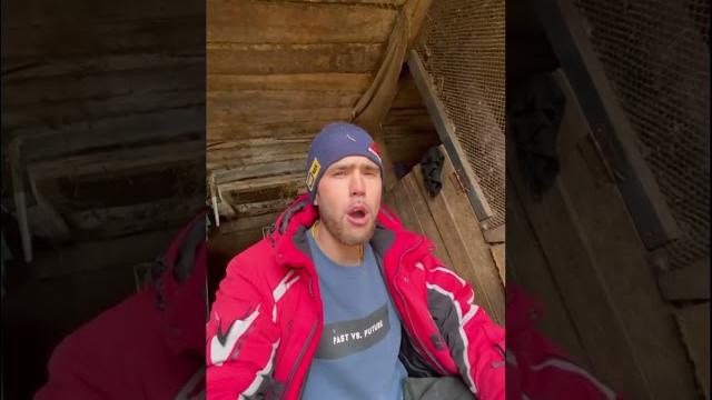 Я еще и корову умею доить Я еще и корову умею доить