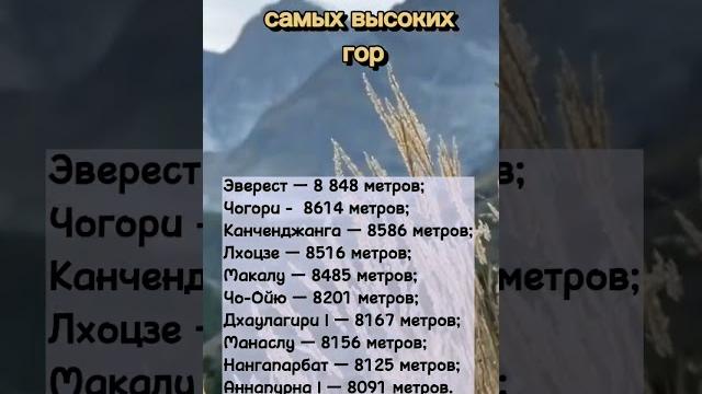 Какая самая высокая гора в мире? Какая самая высокая гора в мире?