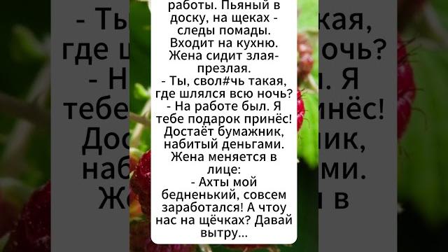 самый лучший муж самый лучший муж