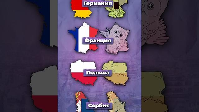 На что похожи страны? #россия #китай #страны На что похожи страны? #россия #китай #страны