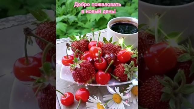 Доброе утро,хорошего дня открытки на каждый день #открытка #доброеутро #видеооткрытка #доброеутречко Доброе утро,хорошего дня открытки на каждый день #открытка #доброеутро #видеооткрытка #доброеутречко