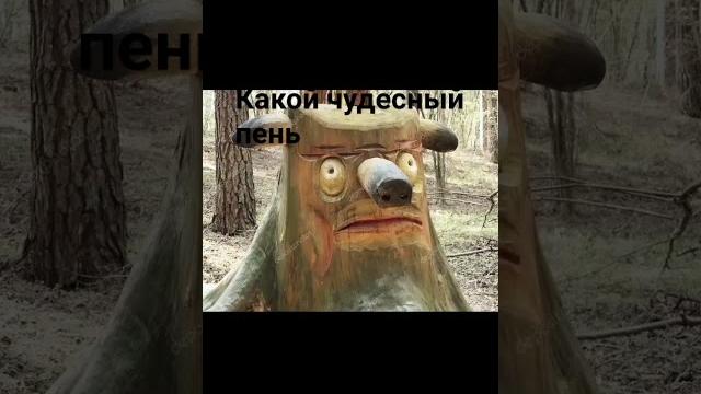 какой чудесный день какой чудесный пень какой чудесный день какой чудесный пень
