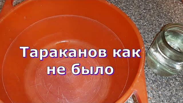 Отличное средство от тараканов! За 3 ДНЯ! Тараканов как не было Отличное средство от тараканов! За 3 ДНЯ! Тараканов как не было