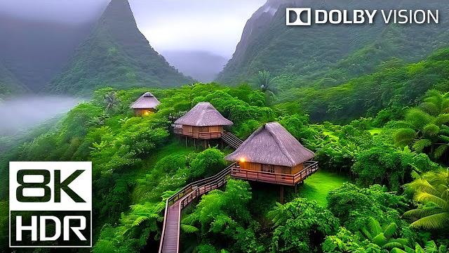 Experience 8K Video Like NEVER BEFORE in Ultra HD Dolby Vision HDR 60fps! Experience 8K Video Like NEVER BEFORE in Ultra HD Dolby Vision HDR 60fps!