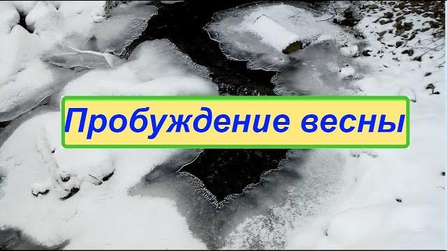 Пробуждение весны Пробуждение весны