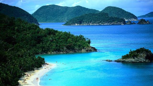 Дикая природа Филиппин. Дикая природа Филиппин.