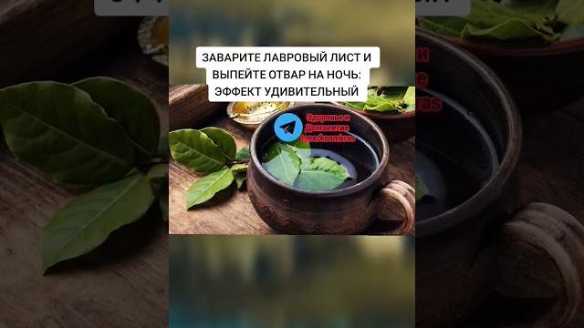 ЗАВАРИТЕ ЛАВРОВЫЙ ЛИСТ И ВЫПЕЙТЕ ОТВАР НА НОЧЬ, ЭФФЕКТ УДИВИТЕЛЬНЫЙ #зож #здоровье #народнаямедицина ЗАВАРИТЕ ЛАВРОВЫЙ ЛИСТ И ВЫПЕЙТЕ ОТВАР НА НОЧЬ, ЭФФЕКТ УДИВИТЕЛЬНЫЙ #зож #здоровье #народнаямедицина