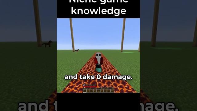 Minecraft Niche Game Knowledge Minecraft Niche Game Knowledge