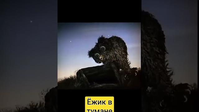 ёжик в тумане ёжик в тумане