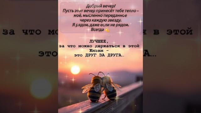 Добрый вечер хорошего вечера открытки на каждый день #открытка #добрый #видеооткрытка #добрыйвечер Добрый вечер хорошего вечера открытки на каждый день #открытка #добрый #видеооткрытка #добрыйвечер