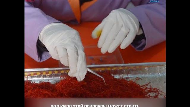 Почему шафран – самая дорогая специя в мире? Почему шафран – самая дорогая специя в мире?