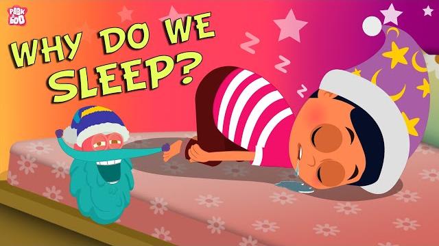 Why Do We Sleep? The Dr. Binocs Show | Best Learning Videos For Kids | Peekaboo Kidz Why Do We Sleep? The Dr. Binocs Show | Best Learning Videos For Kids | Peekaboo Kidz