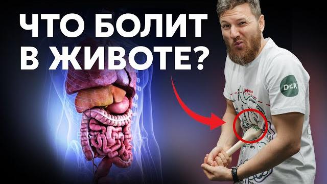 Почему БОЛИТ ЖИВОТ? Симптомы и диагностика. Почему БОЛИТ ЖИВОТ? Симптомы и диагностика.
