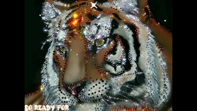 гиф# год тигра # гиф# год тигра #