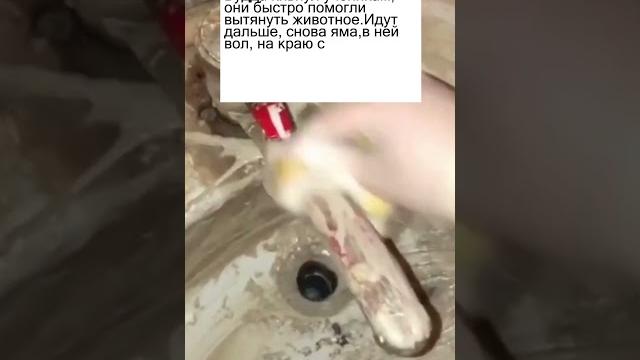 Идёт Будда с учениками3 Идёт Будда с учениками3