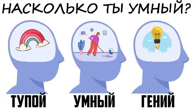 Какой у тебя уровень интеллекта? Быстрый тест IQ Какой у тебя уровень интеллекта? Быстрый тест IQ