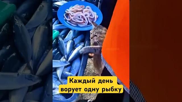 Не Твоя Заслуга — а Чья-то Молитва! #shotrs Не Твоя Заслуга — а Чья-то Молитва! #shotrs