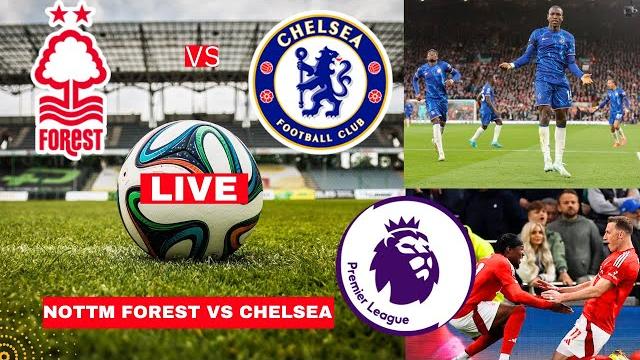 Nottingham Forest vs Chelsea Live Stream Premier League EPL Football Match Today Score Highlights FC Nottingham Forest vs Chelsea Live Stream Premier League EPL Football Match Today Score Highlights FC