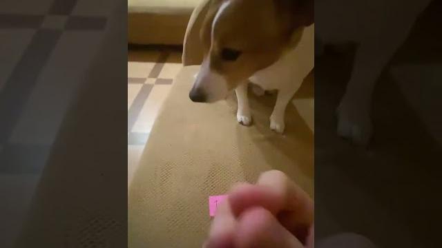 gif / mycoubs / аниме / memes #memes #приколы#art #funny #coubлучшее cut anime moments compilation gif / mycoubs / аниме / memes #memes #приколы#art #funny #coubлучшее cut anime moments compilation