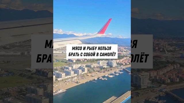 Какую еду можно брать с собой в самолёт? ️ Какую еду можно брать с собой в самолёт? ️
