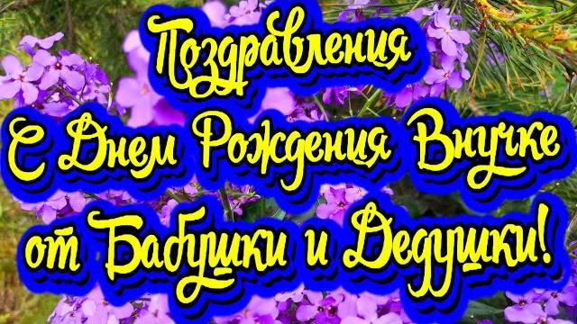 Поздравления с Днем Рождения Внучке от Бабушки и Дедушки! Новинка! Прекрасное Видео Поздравление! Поздравления с Днем Рождения Внучке от Бабушки и Дедушки! Новинка! Прекрасное Видео Поздравление!