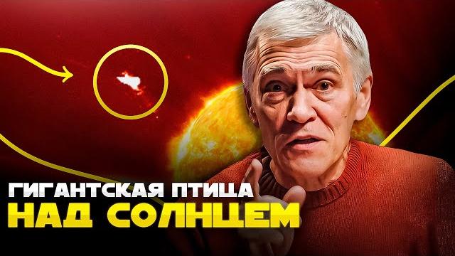 МИГАЮЩИЕ ПОЛОСЫ НА МАРСЕ / КУСКИ ЛУНЫ – СПУТНИКИ ЗЕМЛИ / ОГРОМНАЯ ПТИЦА НАД СОЛНЦЕМ. Владимир Сурдин МИГАЮЩИЕ ПОЛОСЫ НА МАРСЕ / КУСКИ ЛУНЫ – СПУТНИКИ ЗЕМЛИ / ОГРОМНАЯ ПТИЦА НАД СОЛНЦЕМ. Владимир Сурдин