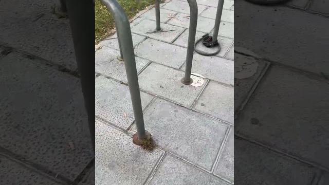 Угон велосипеда в Барселоне Угон велосипеда в Барселоне