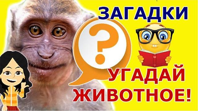 ДЕТСКИЕ ЗАГАДКИ ПРО ДИКИХ ЖИВОТНЫХ. Угадай животное ДЕТСКИЕ ЗАГАДКИ ПРО ДИКИХ ЖИВОТНЫХ. Угадай животное