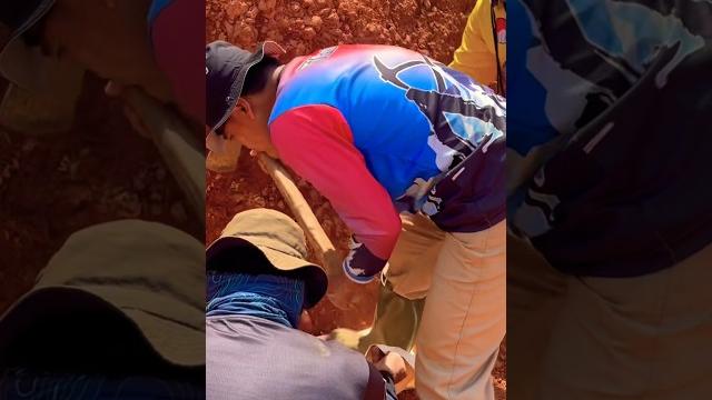 Bauxite #bauksit #geology #mining #sampit #kalteng #videoviral #fypシ #fyp #viral #shorts #viralvideo Bauxite #bauksit #geology #mining #sampit #kalteng #videoviral #fypシ #fyp #viral #shorts #viralvideo