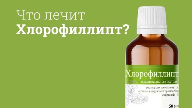 Хлорофиллипт: инструкция по применению Хлорофиллипт: инструкция по применению