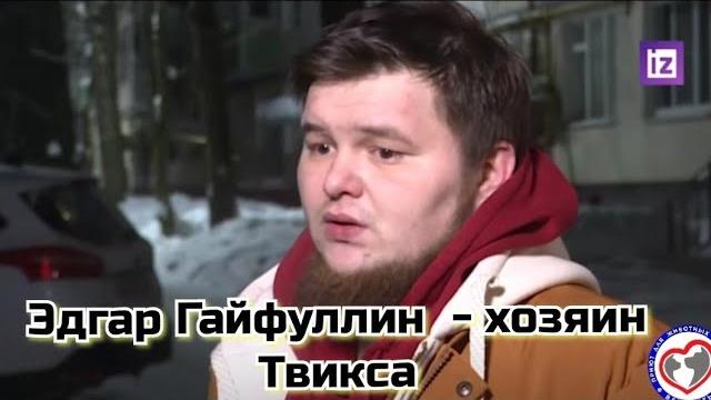 Интервью с Эдгаром , хозяином погибшего кота Твикса: проводницы знали, что Твикс едет с пассажиром Интервью с Эдгаром , хозяином погибшего кота Твикса: проводницы знали, что Твикс едет с пассажиром