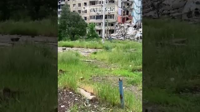 ‼️Ужасы "русского мира" в Угледаре ‼️Ужасы "русского мира" в Угледаре