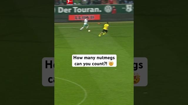 How Many NUTMEGS Did You Count?! How Many NUTMEGS Did You Count?!