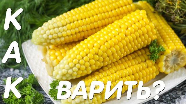 Как варить кукурузу? Сколько варить кукурузу? Как варить кукурузу? Сколько варить кукурузу?