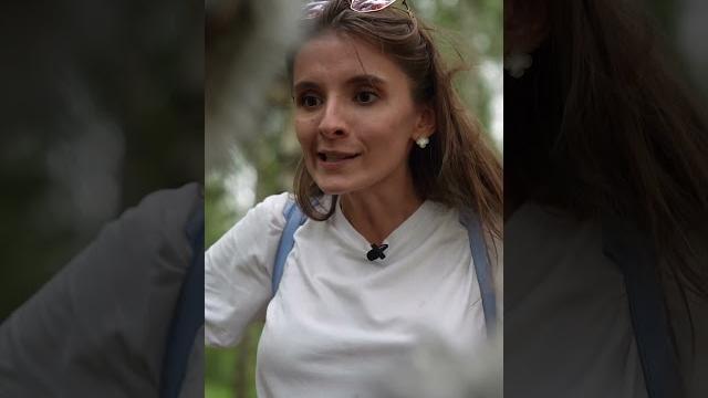 А ты боишься волков? А ты боишься волков?