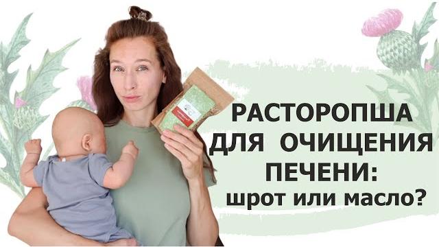 Расторопша для печени // Шрот или масло? Расторопша для печени // Шрот или масло?