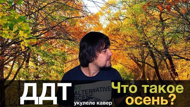 ДДТ - ЧТО ТАКОЕ ОСЕНЬ укулеле кавер ДДТ - ЧТО ТАКОЕ ОСЕНЬ укулеле кавер