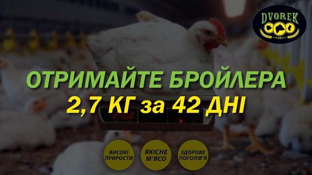 Чем Кормить Бройлеров - Корм для Бройлеров Чем Кормить Бройлеров - Корм для Бройлеров