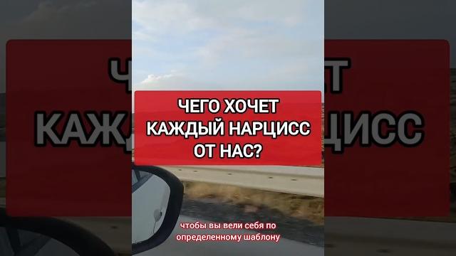 Чего Хочет Каждый Нарцисс от ТЕБЯ? О чём он/она мечтает? #нарциссизм #нрл #отношенияснарциссом Чего Хочет Каждый Нарцисс от ТЕБЯ? О чём он/она мечтает? #нарциссизм #нрл #отношенияснарциссом