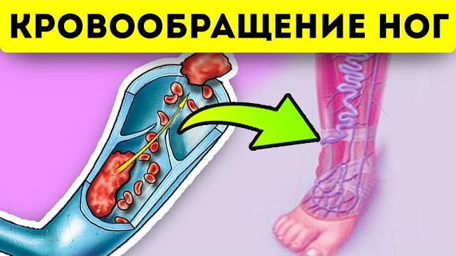 Вот как нормализовать кровообращение в ногах Вот как нормализовать кровообращение в ногах