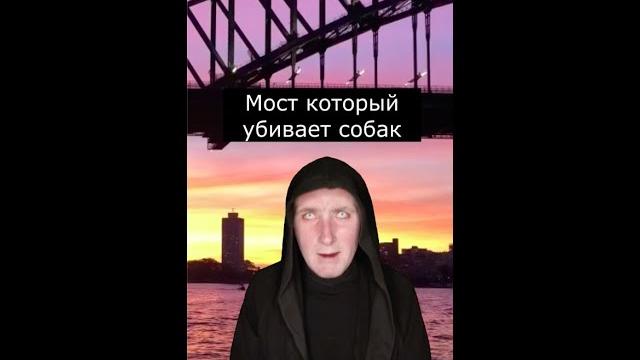 Мост который убивает Собак | Страшилки Шортс Мост который убивает Собак | Страшилки Шортс