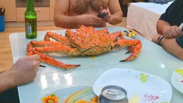 Как правильно есть краба | камчатский краб как чистить Как правильно есть краба | камчатский краб как чистить