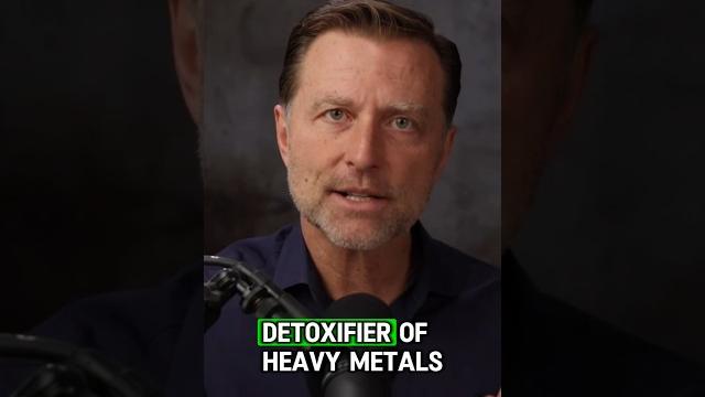 3 Foods to Clean Out Dirty Kidneys 3 Foods to Clean Out Dirty Kidneys