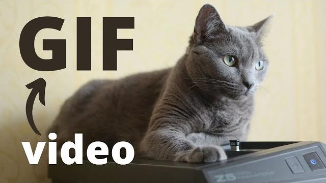 Как сделать GIF из видео. Бесплатное приложение Как сделать GIF из видео. Бесплатное приложение
