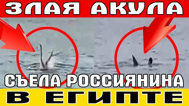 АКУЛА СЪЕЛА РОССИЯНИНА В ЕГИПТЕ (Полное видео) АКУЛА СЪЕЛА РОССИЯНИНА В ЕГИПТЕ (Полное видео)