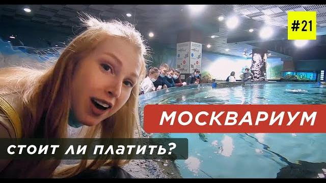 МОСКВАРИУМ НА ВДНХ (в Что посмотреть и Сколько Стоит) МОСКВАРИУМ НА ВДНХ (в Что посмотреть и Сколько Стоит)
