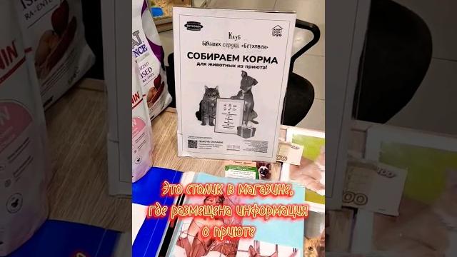 Помощь приюту "Дана" от магазина "Бетховен" #shorts #short #собаки #приют #помощь #волонтёрство Помощь приюту "Дана" от магазина "Бетховен" #shorts #short #собаки #приют #помощь #волонтёрство