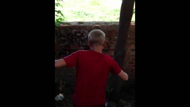 Эффект Триган-Д Эффект Триган-Д