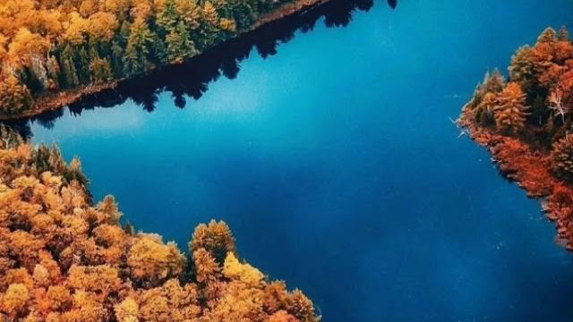 Любят вопреки Любят вопреки