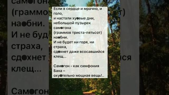 Смешной прикол и прикол #instagramyoutube #юмор #смешновидео #юмор#shortsanity #смехпродлеваетжизнь Смешной прикол и прикол #instagramyoutube #юмор #смешновидео #юмор#shortsanity #смехпродлеваетжизнь